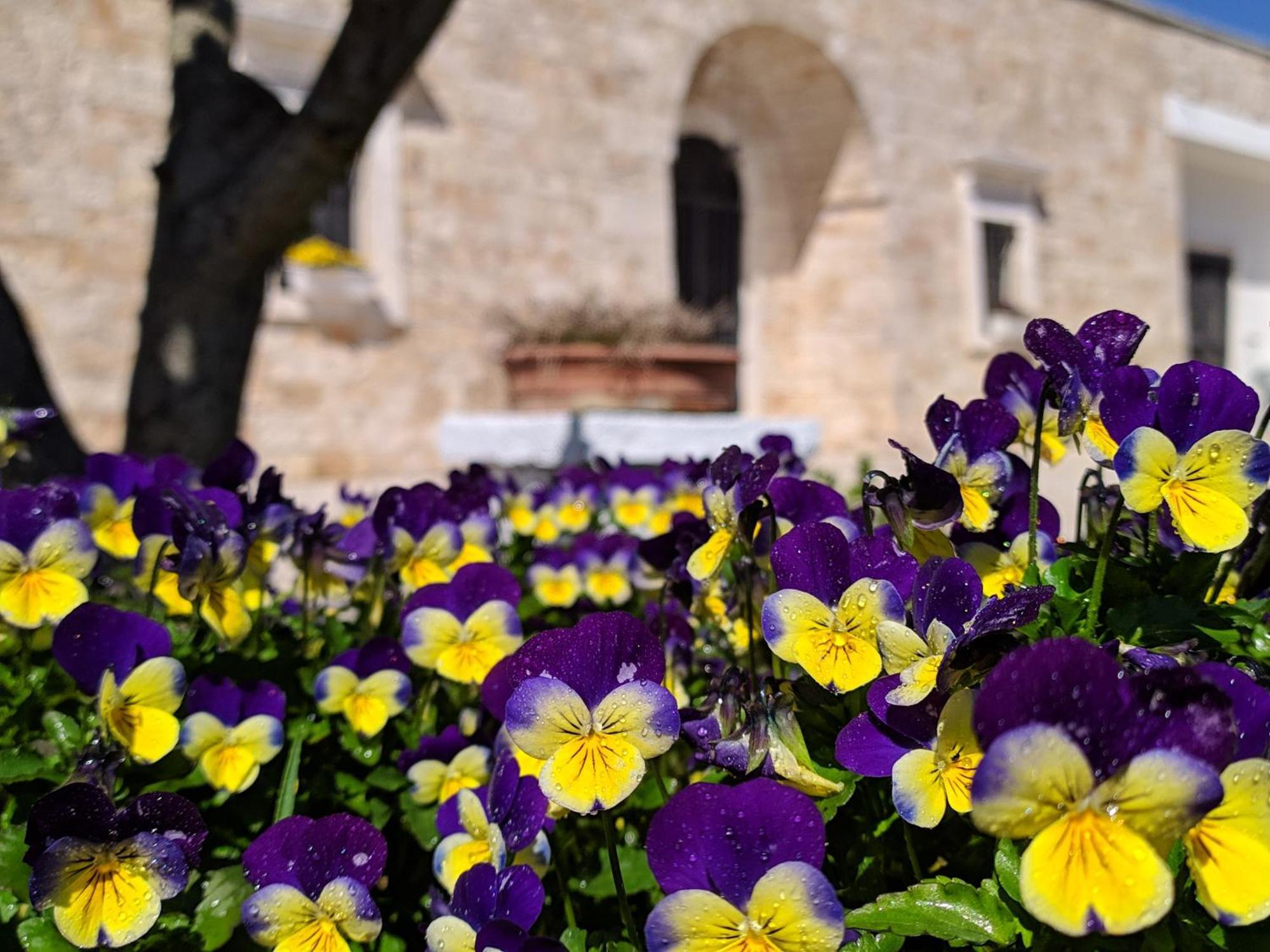 Il Sogno Aparthotel Alberobello Bagian luar foto